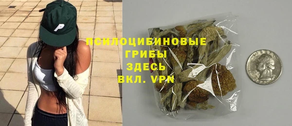 гашик Заводоуковск