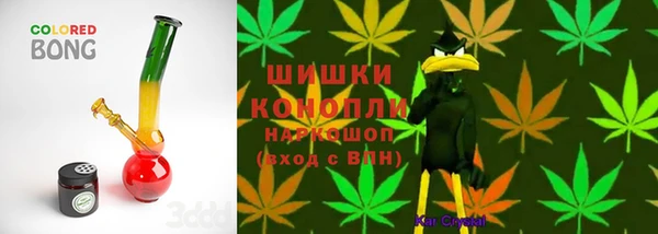 гашик Заводоуковск