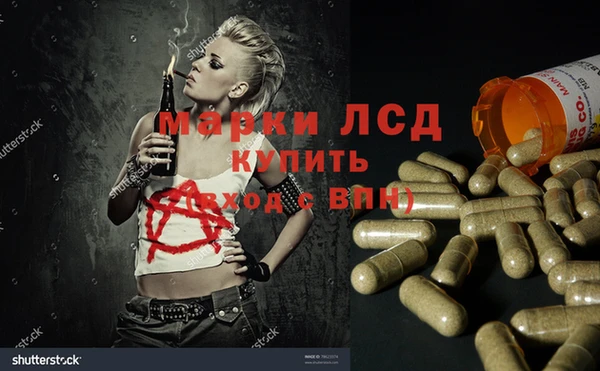 гашик Заводоуковск