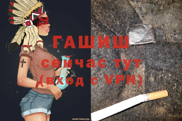 гашик Заводоуковск