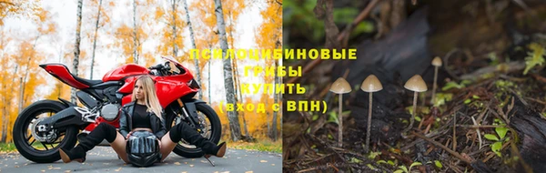 гашик Заводоуковск