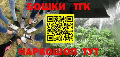 не бодяженный Кингисепп