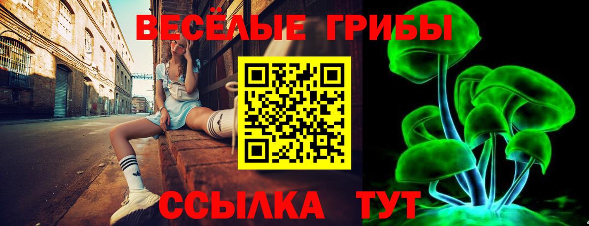 Галлюциногенные грибы Cubensis Славянск-на-Кубани