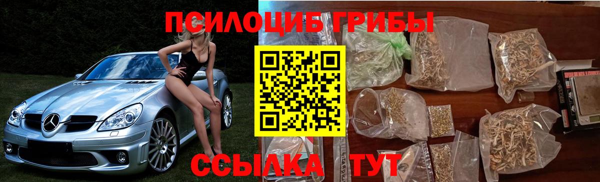 Славянск-на-Кубани  Псилоцибиновые грибы Magic Shrooms  закладка  Вход с VPN 